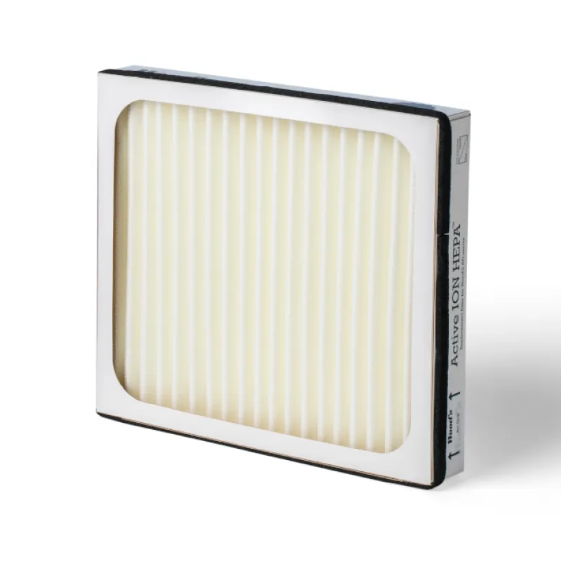 Zamjenski Active ION filter za odvlaživač Woods AD20G/AD30G
